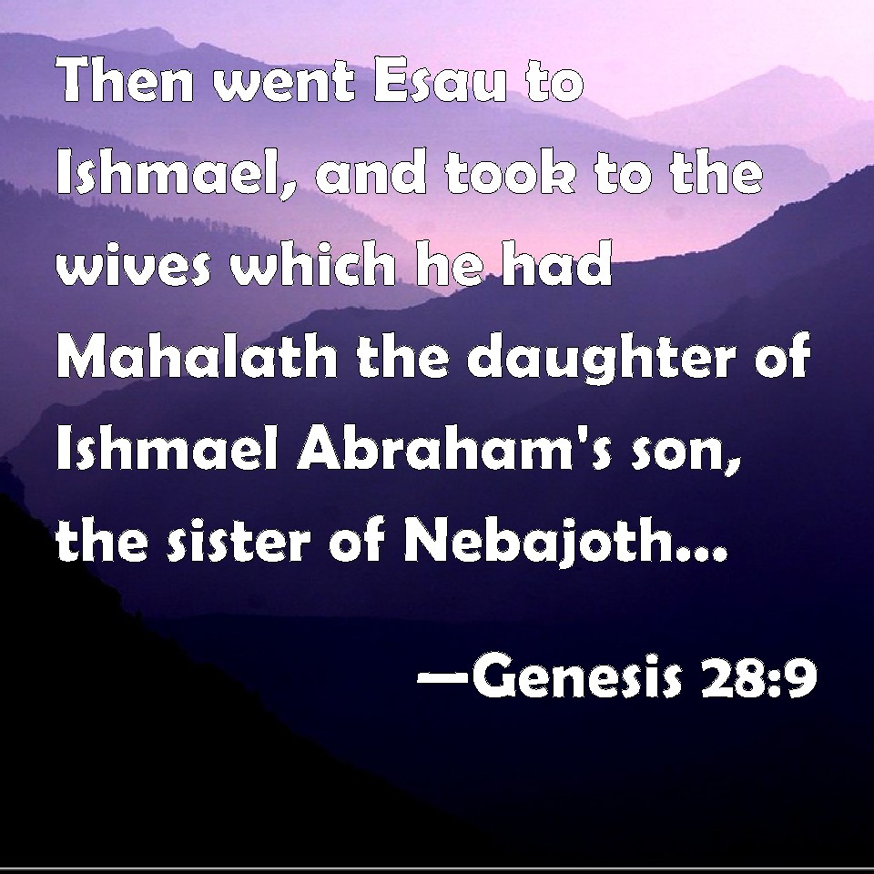 Genesis 289 Then went Esau to Ishmael, and took to the wives which he