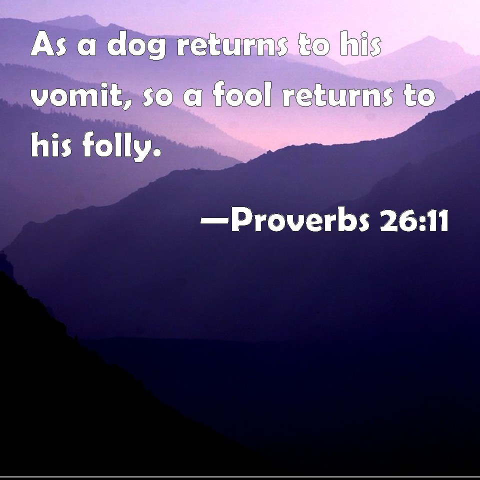 Proverbs 2611 As a dog returns to his vomit, so a fool returns to his