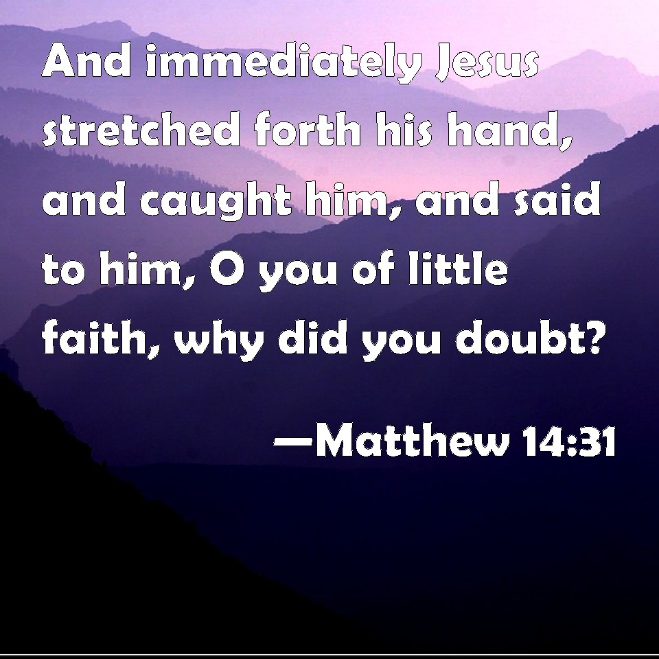 Matthew 1431 And immediately Jesus stretched forth his hand, and