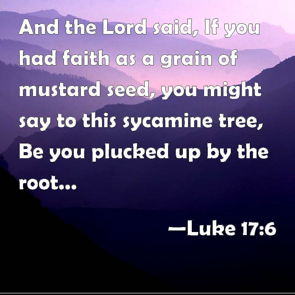 Luke 176 And the Lord said, If you had faith as a grain of mustard