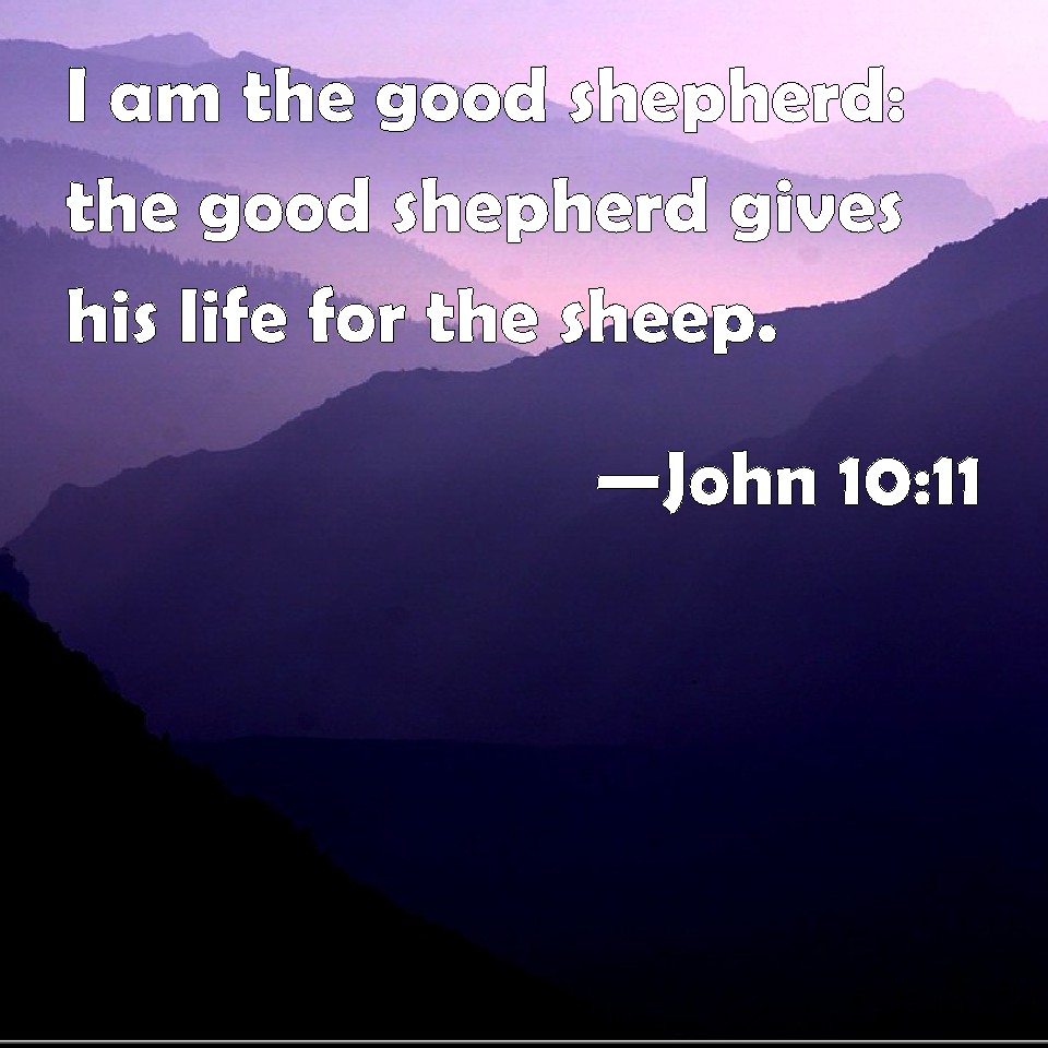 John 1011 I am the good shepherd the good shepherd gives his life for