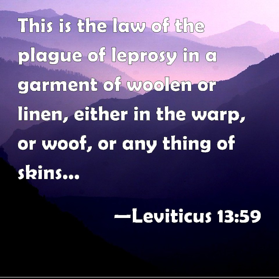 Leviticus 1359 This is the law of the plague of leprosy in a garment