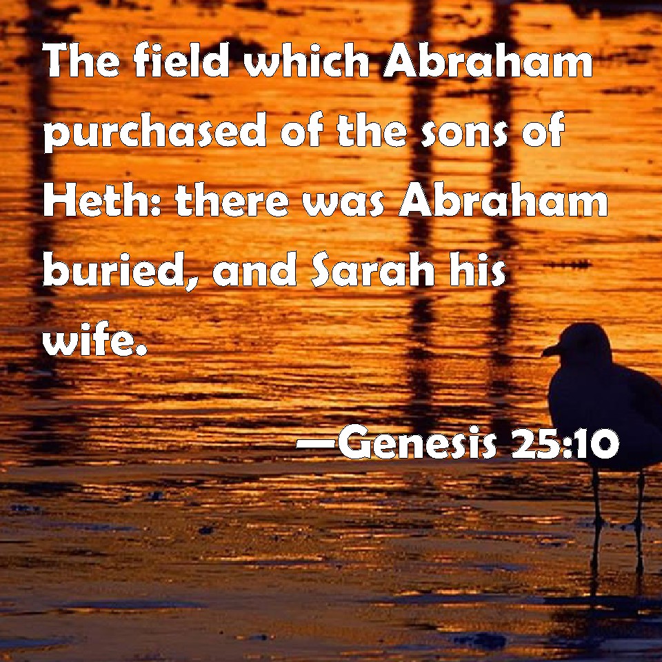 Genesis 2510 The field which Abraham purchased of the sons of Heth