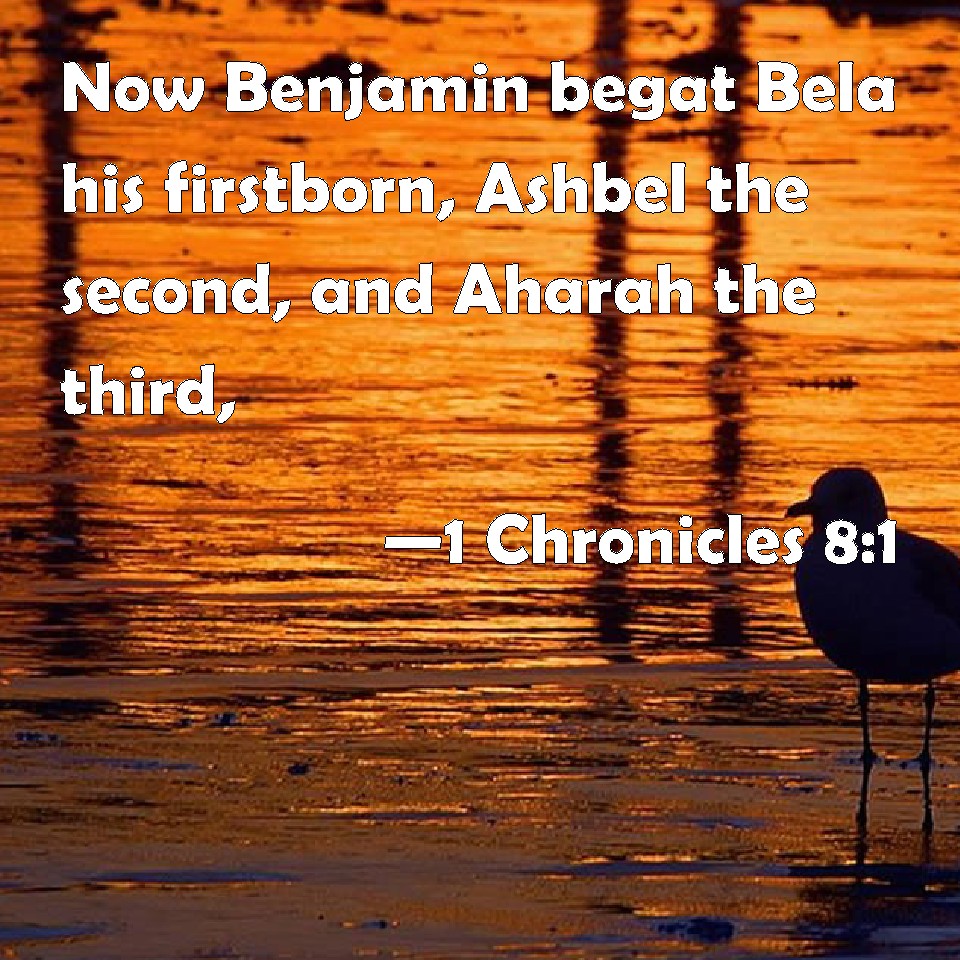 1 Chronicles 81 Now Benjamin begat Bela his firstborn, Ashbel the