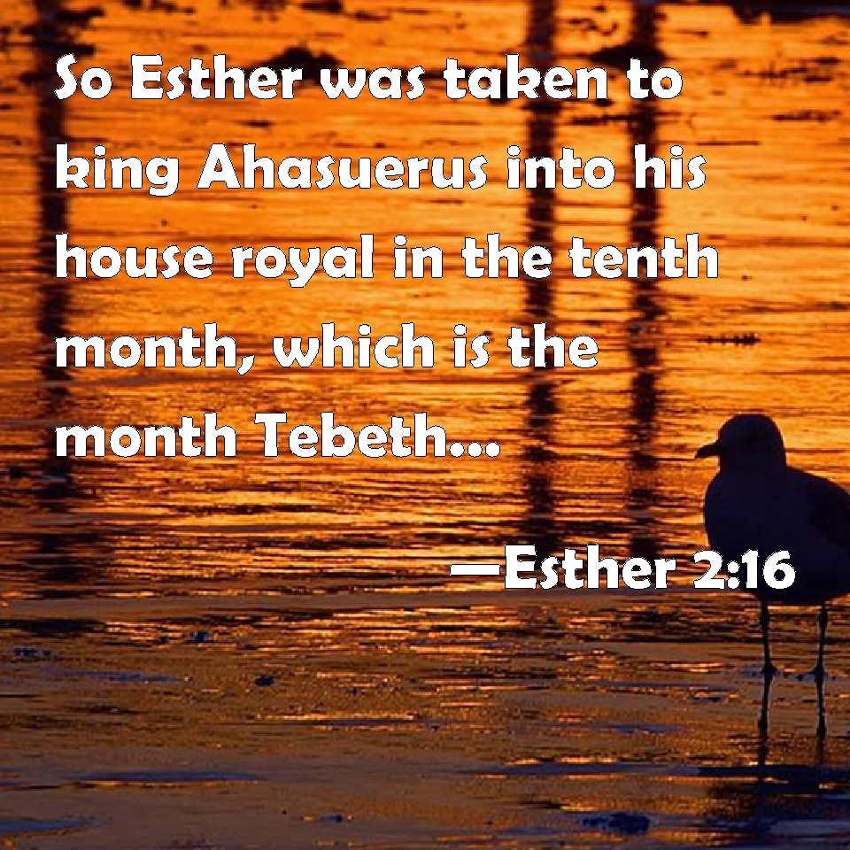 Esther 216 So Esther was taken to king Ahasuerus into his house royal