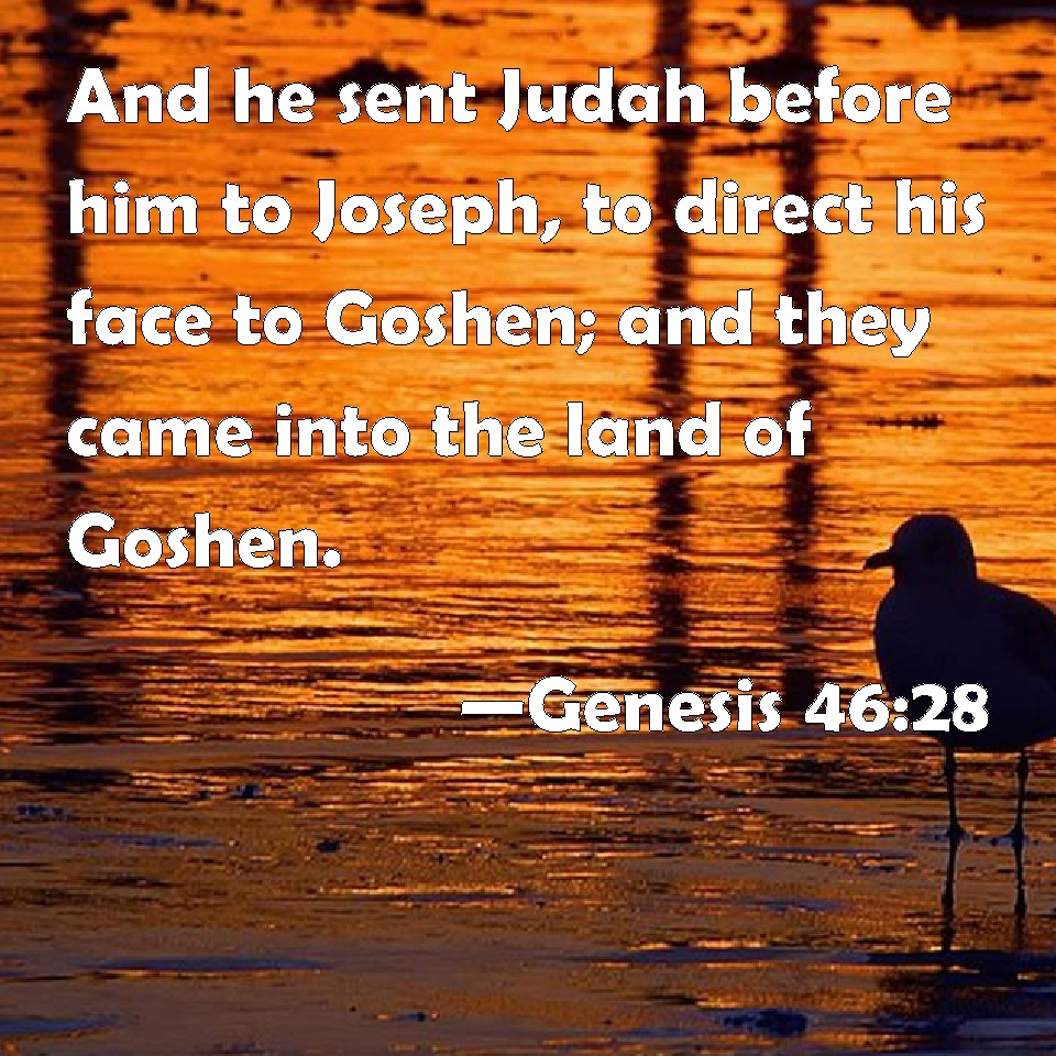 Genesis 4628 And he sent Judah before him to Joseph, to direct his