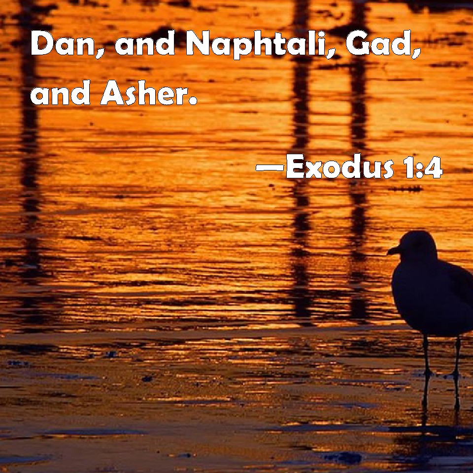 Exodus 14 Dan, and Naphtali, Gad, and Asher.