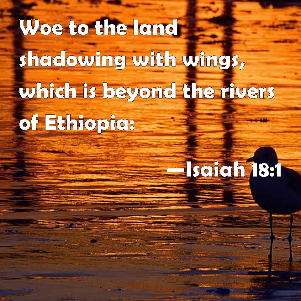 Isaiah 181 Woe to the land shadowing with wings, which is beyond the
