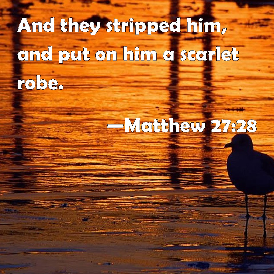 Matthew 2728 And they stripped him, and put on him a scarlet robe.