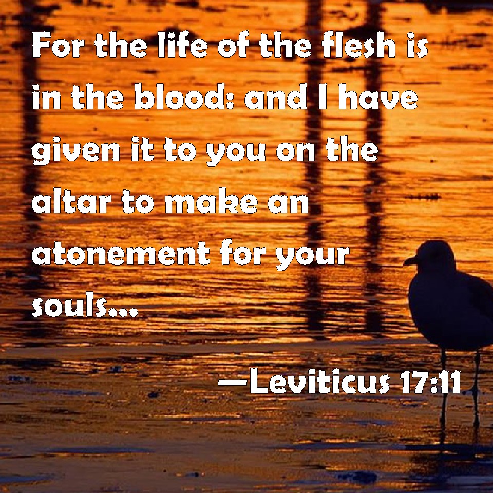 Leviticus 1711 For the life of the flesh is in the blood and I have