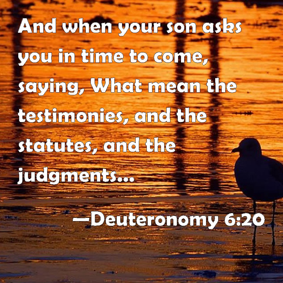 Deuteronomy 620 And when your son asks you in time to come, saying, What mean the testimonies