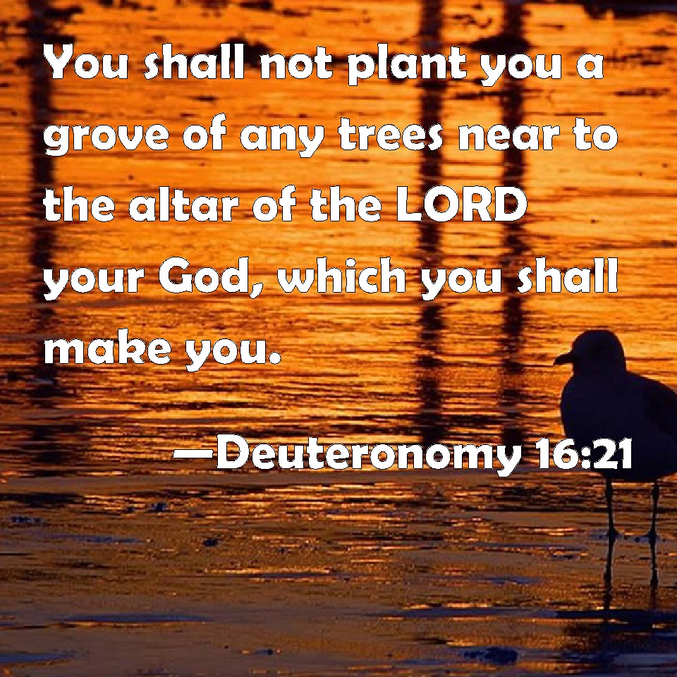 Deuteronomy Christmas Trees Deuteronomy 1621 You shall not plant you a grove of any trees near to