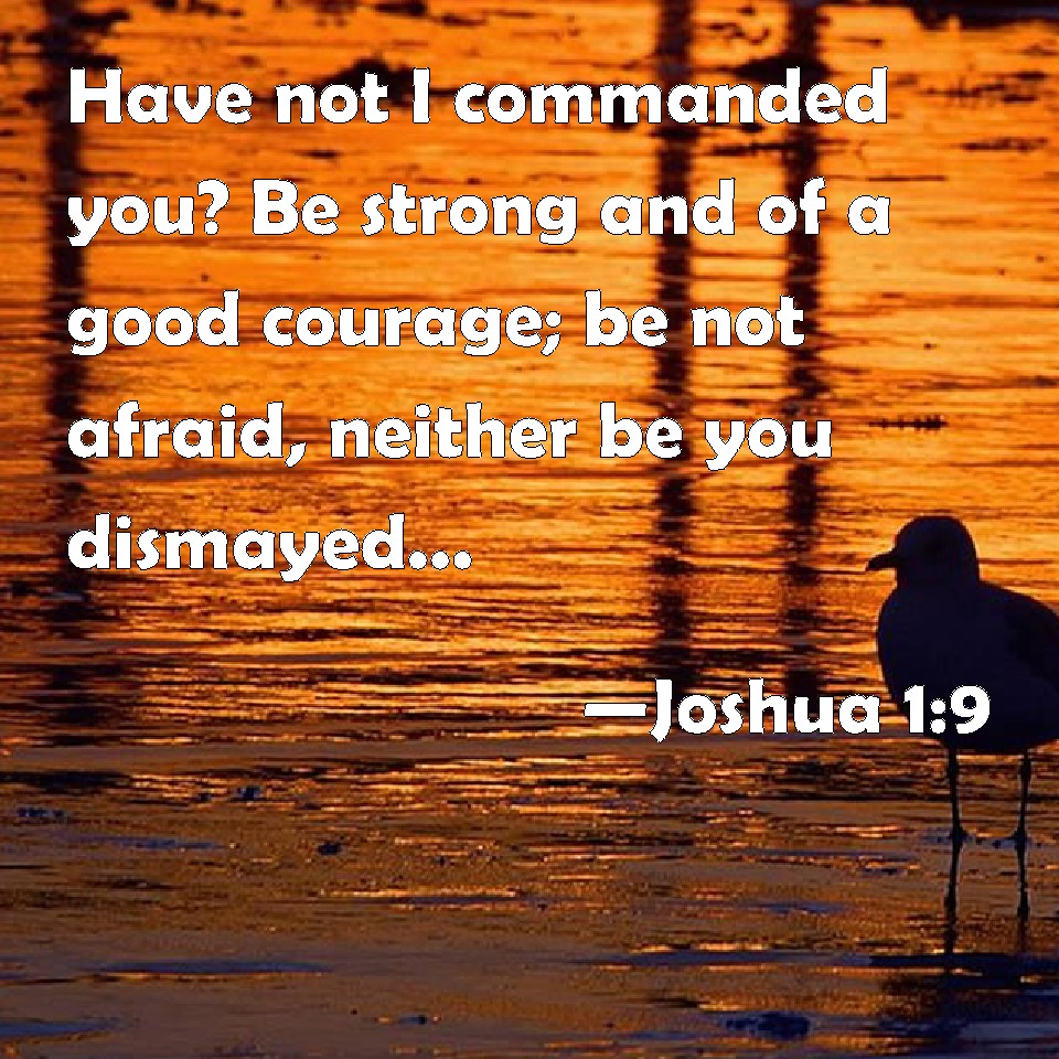 Joshua 19 Have not I commanded you? Be strong and of a good courage; be not afraid, neither be