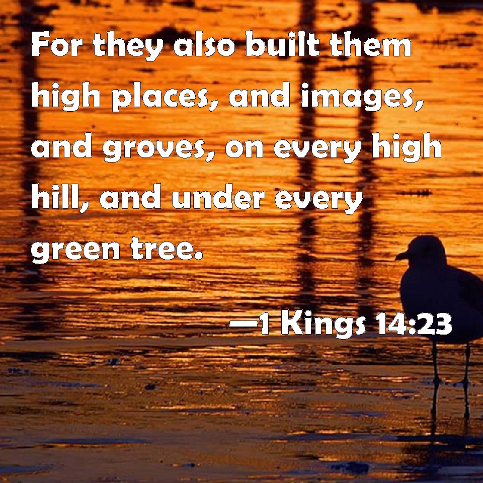 1 Kings 1423 For they also built them high places, and images, and