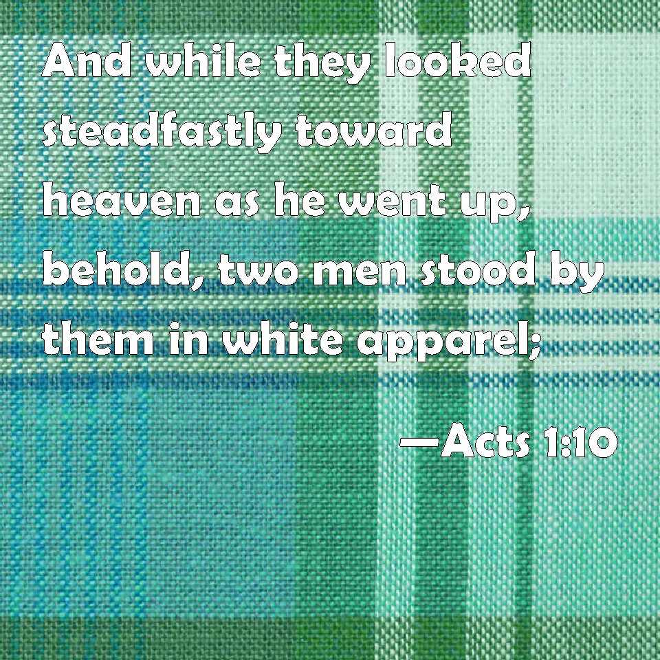 Acts 110 And while they looked steadfastly toward heaven as he went up