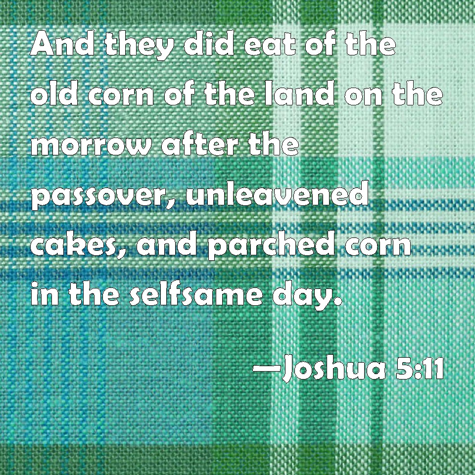 Joshua 511 And they did eat of the old corn of the land on the morrow