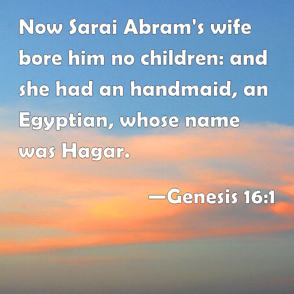 Genesis 161 Now Sarai Abram's wife bore him no children and she had