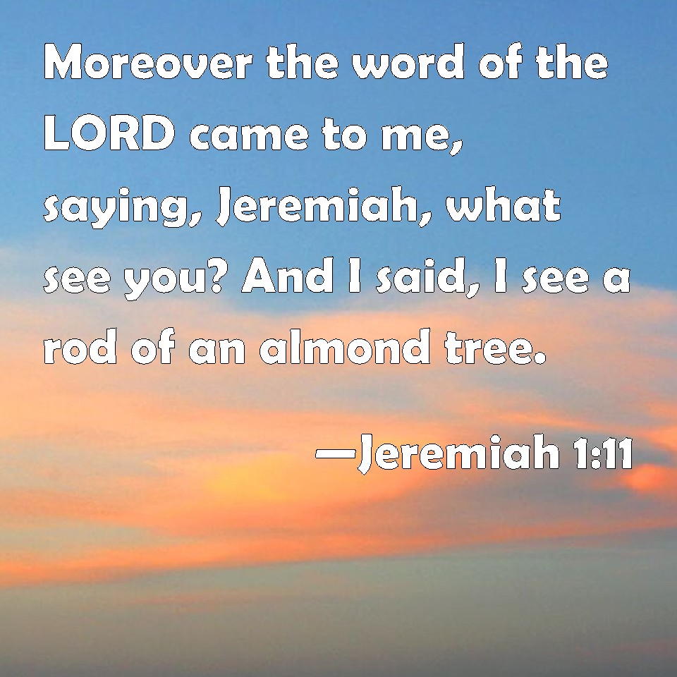 Jeremiah 111 Moreover the word of the LORD came to me, saying