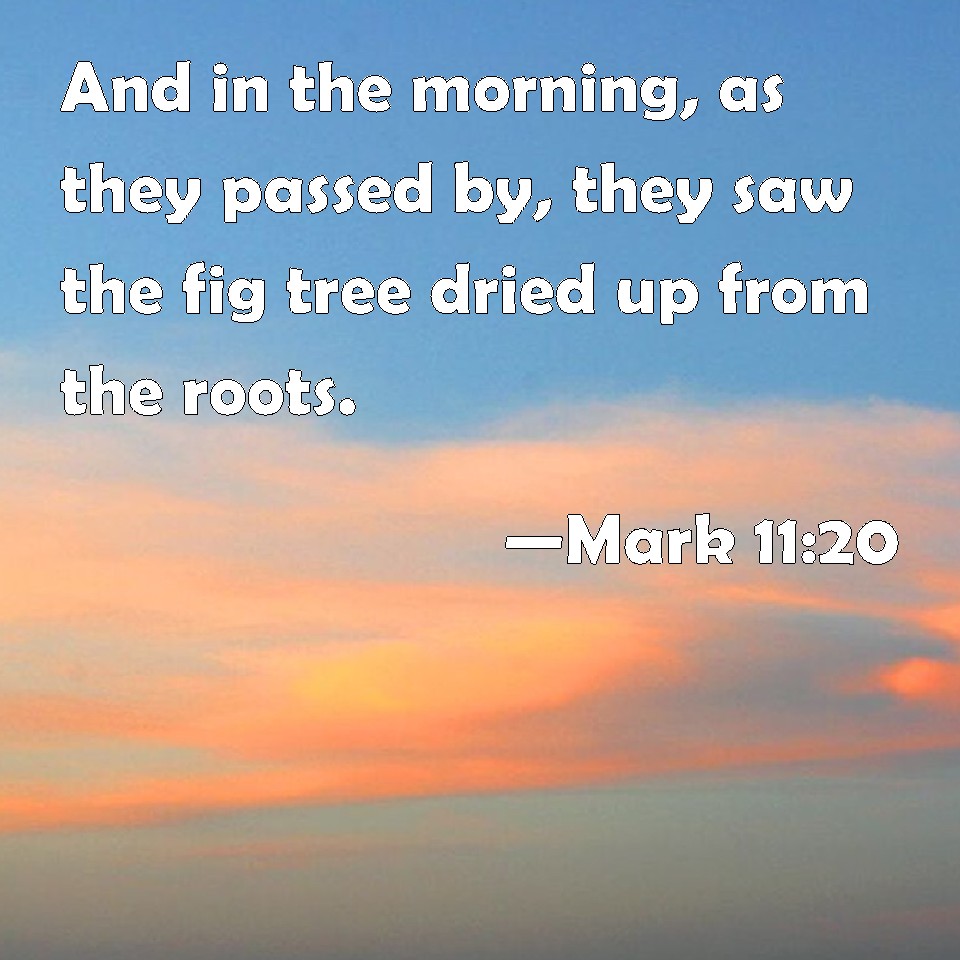 Mark 1120 And in the morning, as they passed by, they saw the fig tree