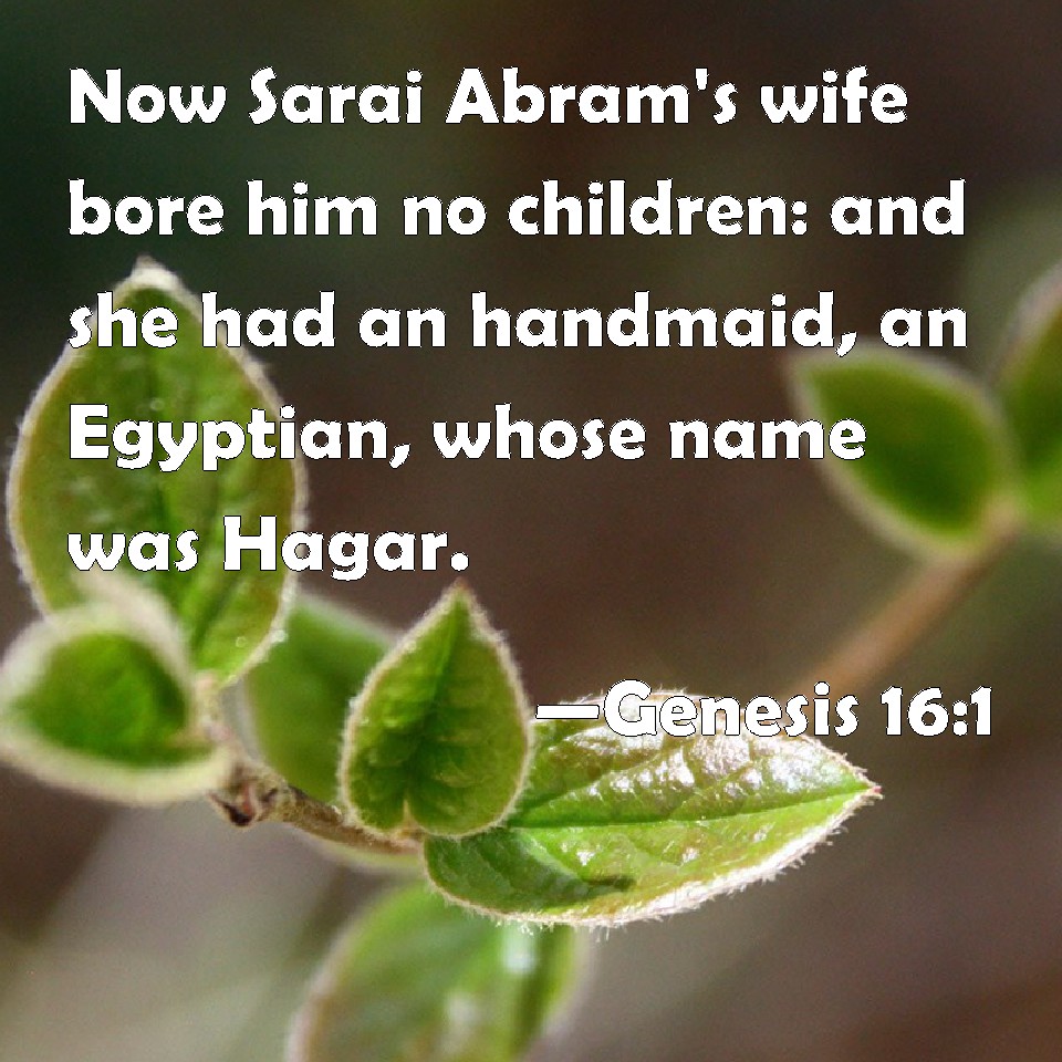 Genesis 161 Now Sarai Abram's wife bore him no children and she had