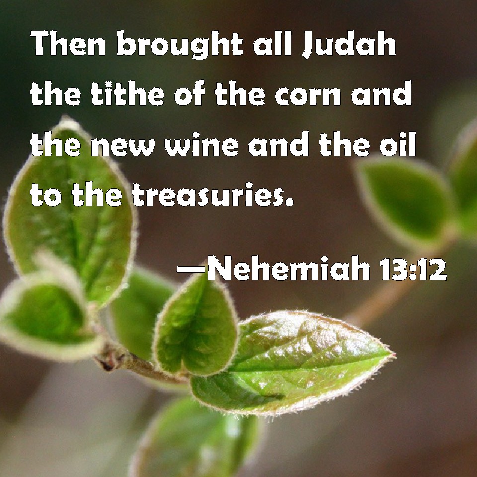 Nehemiah 1312 Then brought all Judah the tithe of the corn and the new