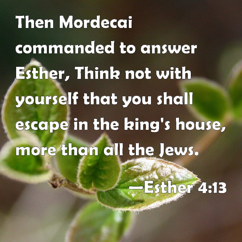 Esther 413 Then Mordecai commanded to answer Esther, Think not with