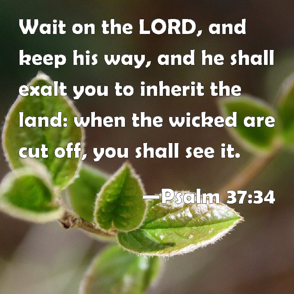 Psalm 3734 Wait on the LORD, and keep his way, and he shall exalt you
