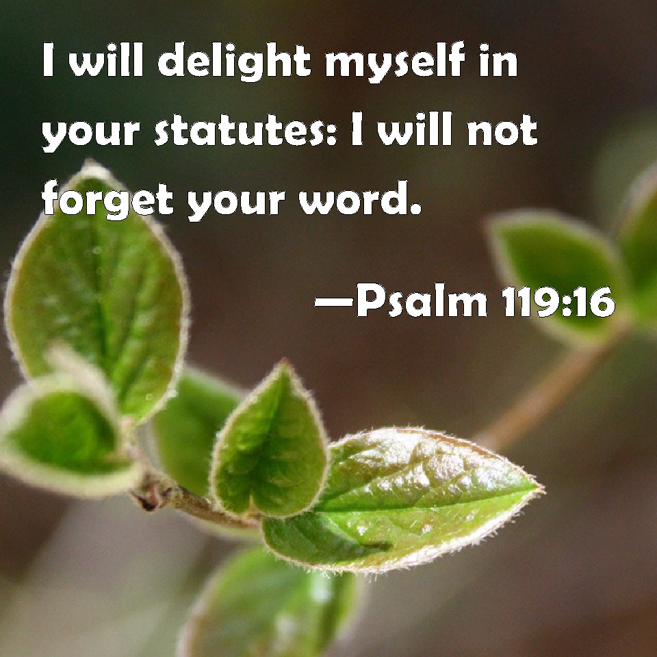 Psalm 11916 I will delight myself in your statutes I will not