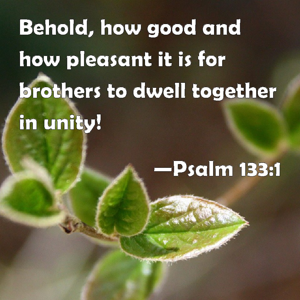 Psalm 1331 Behold, how good and how pleasant it is for brothers to