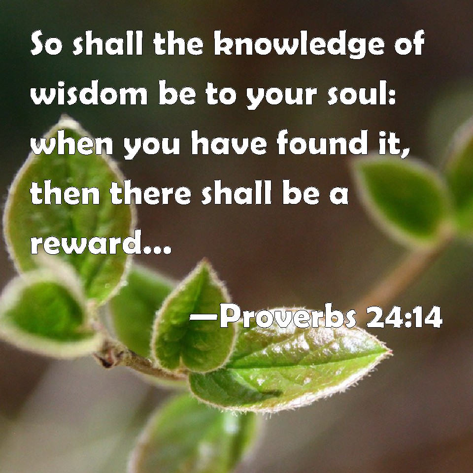Proverbs 2414 So shall the knowledge of wisdom be to your soul when