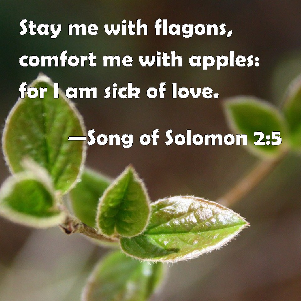 Song of Solomon 25 Stay me with flagons, comfort me with apples for I