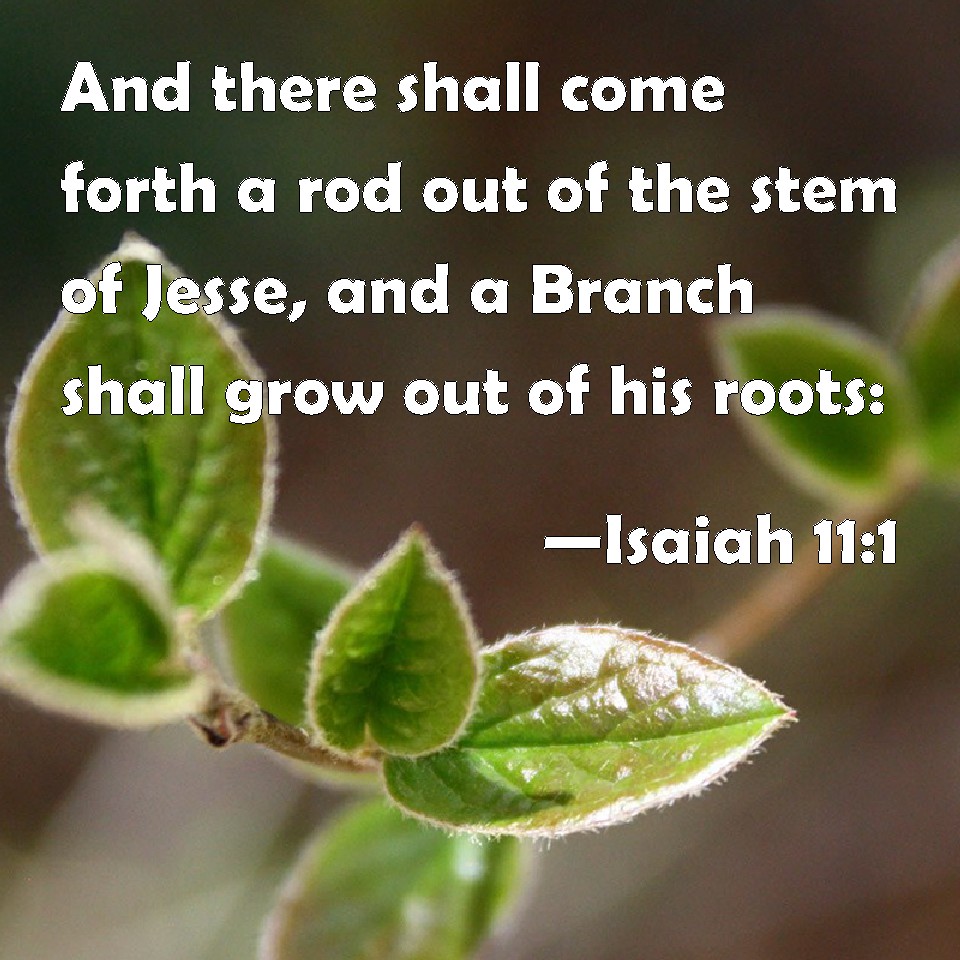 Isaiah 111 And there shall come forth a rod out of the stem of Jesse