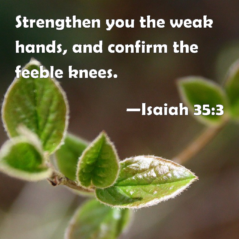 Isaiah 353 Strengthen you the weak hands, and confirm the feeble knees.