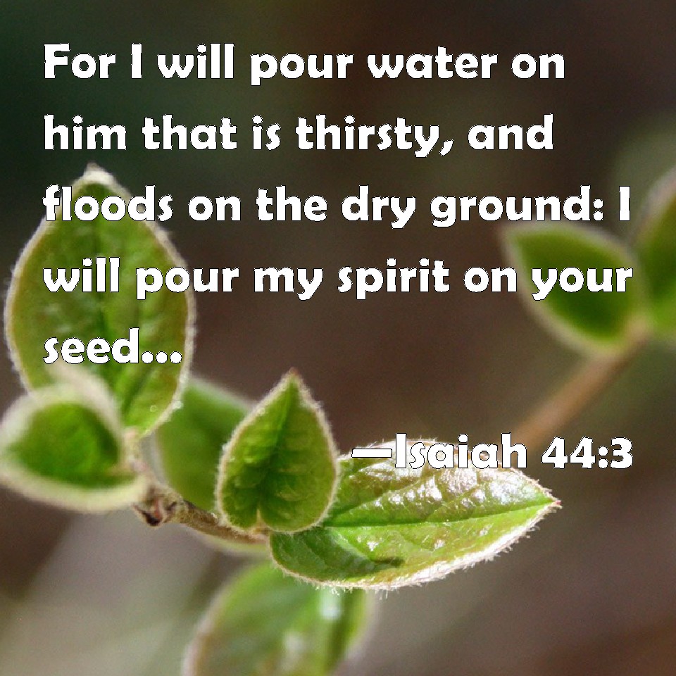 Isaiah 443 For I will pour water on him that is thirsty, and floods on