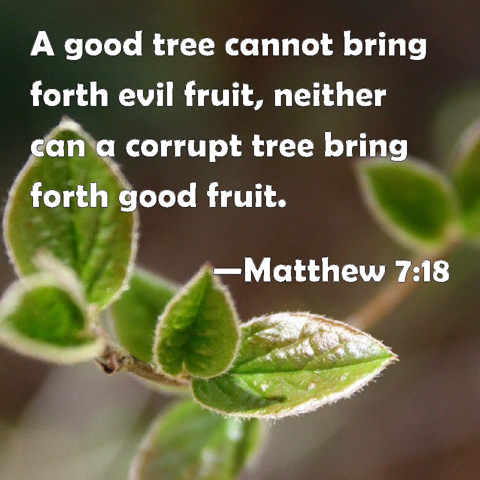 Matthew 718 A good tree cannot bring forth evil fruit, neither can a