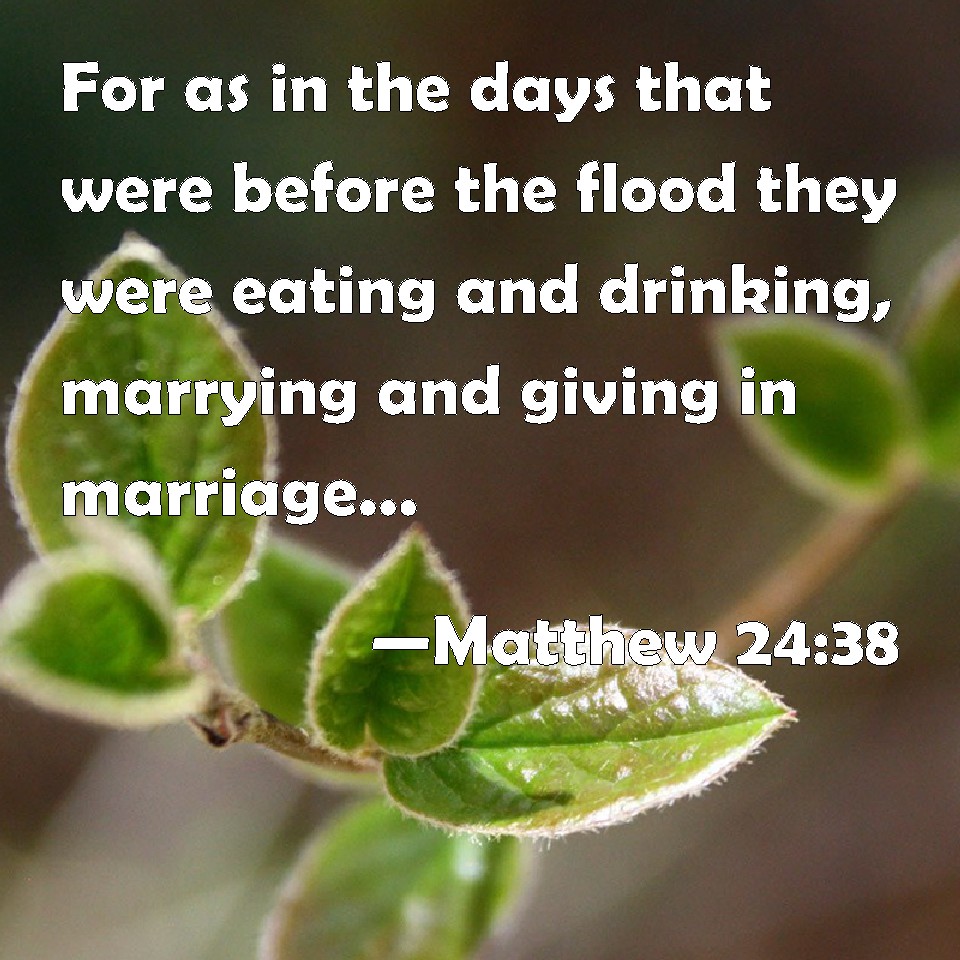 Matthew 2438 For as in the days that were before the flood they were
