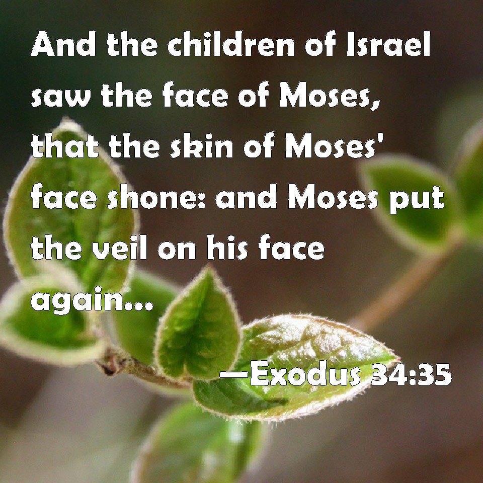 Exodus 3435 And the children of Israel saw the face of Moses, that the