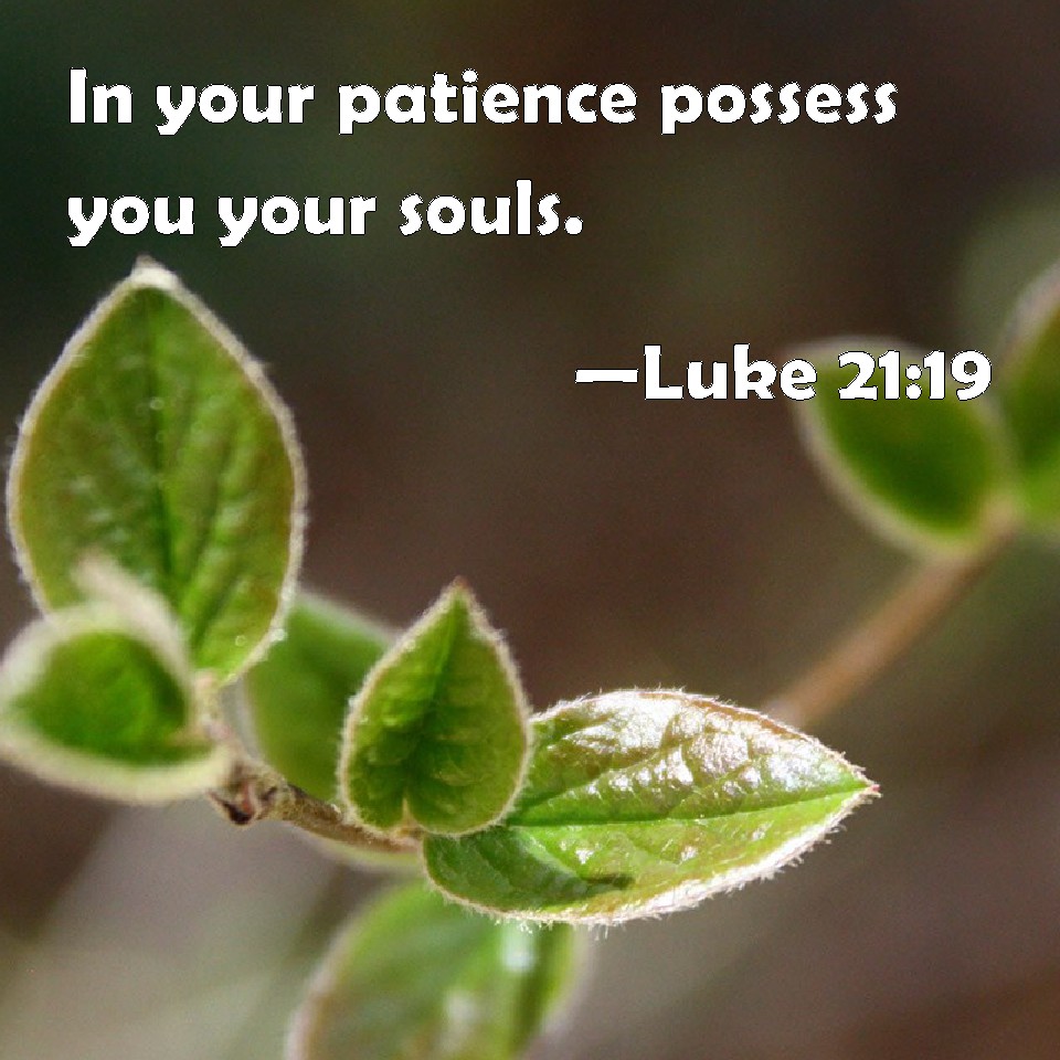 Luke 2119 In your patience possess you your souls.