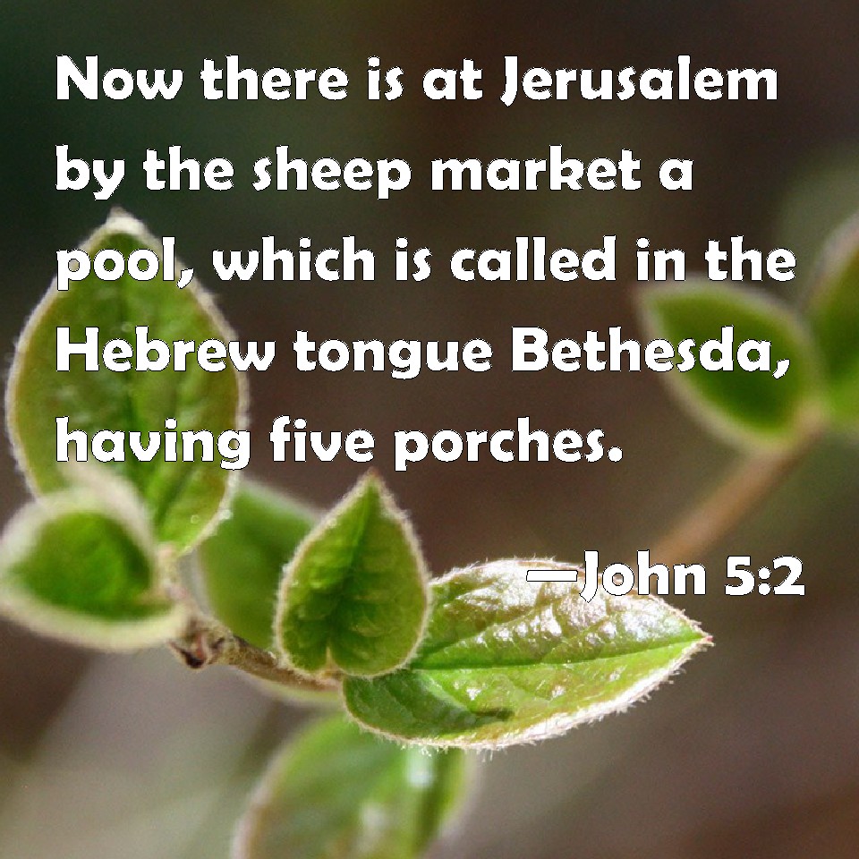 John 52 Now there is at Jerusalem by the sheep market a pool, which is