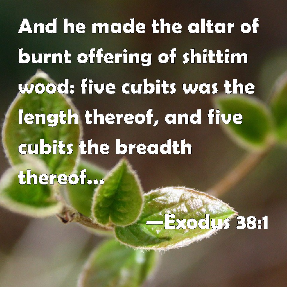 Altar Of Shittim Wood