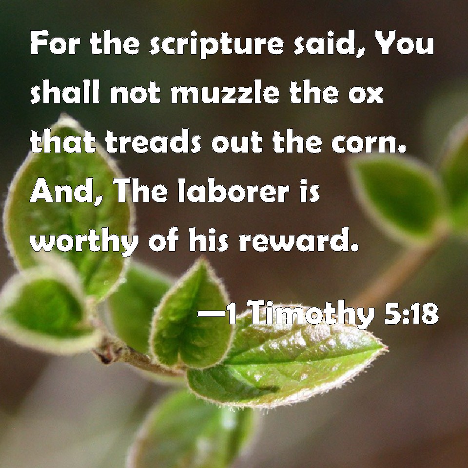 1 Timothy 518 For the scripture said, You shall not muzzle the ox that