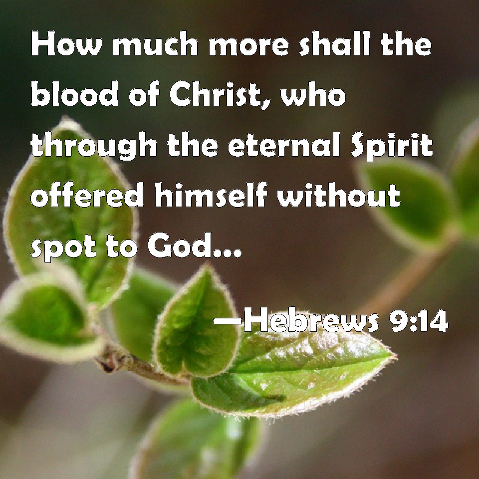Hebrews 914 How much more shall the blood of Christ, who through the