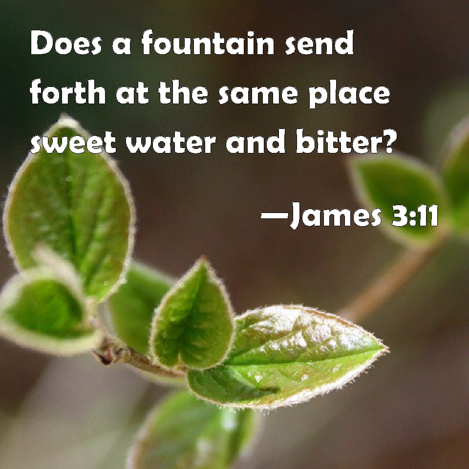 James 311 Does a fountain send forth at the same place sweet water and