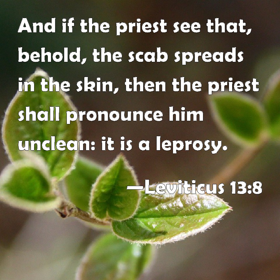 Leviticus 138 And if the priest see that, behold, the scab spreads in
