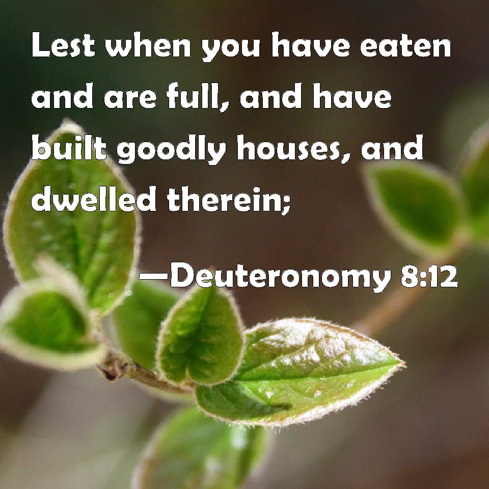 Deuteronomy 812 Lest when you have eaten and are full, and have built