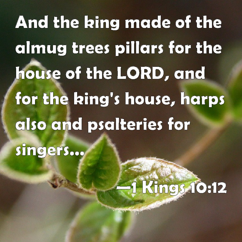 1 Kings 1012 And the king made of the almug trees pillars for the house of the LORD, and for
