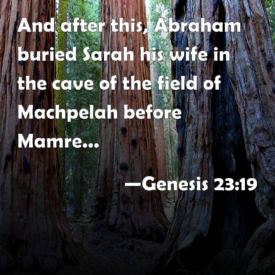 Genesis 2319 And after this, Abraham buried Sarah his wife in the cave of the field of
