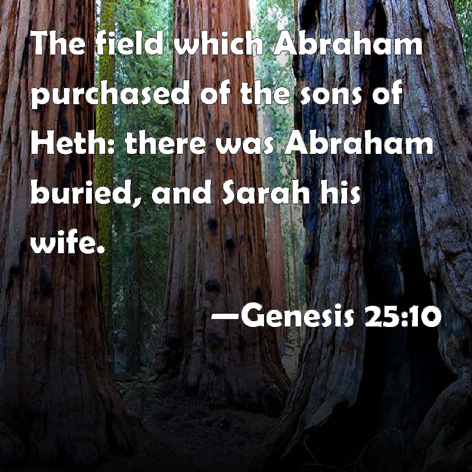 Genesis 2510 The field which Abraham purchased of the sons of Heth there was Abraham buried