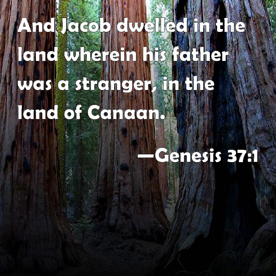 Collection 94+ Pictures What Is The Land Of Canaan Called Today