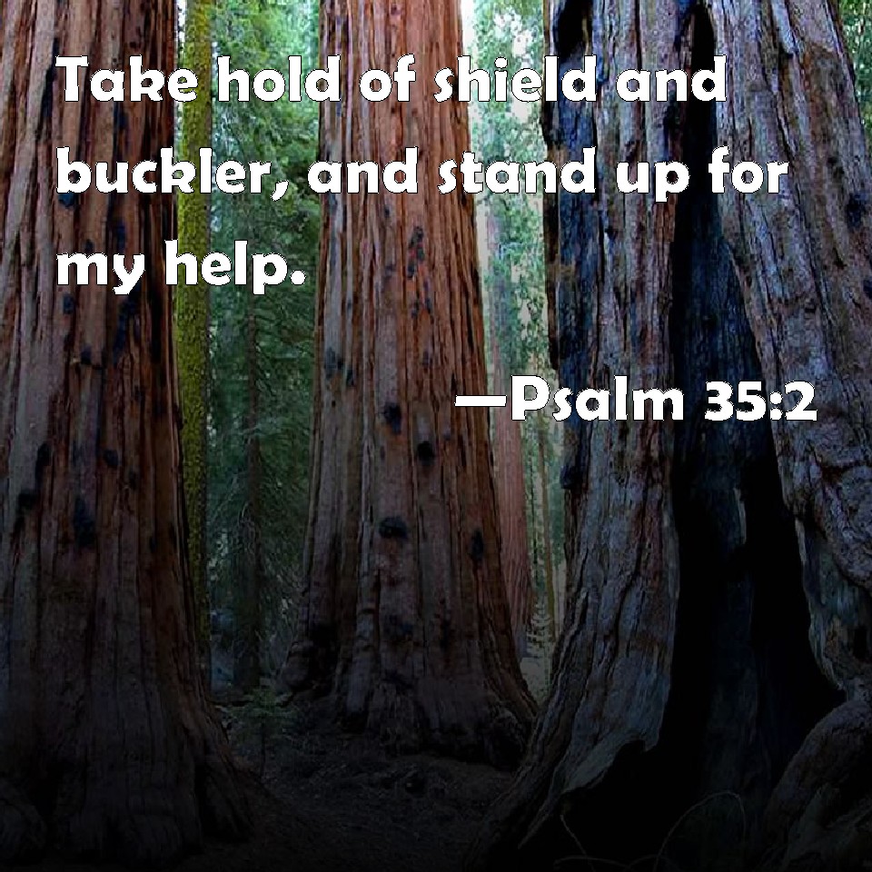 Psalm 352 Take hold of shield and buckler, and stand up for my help.